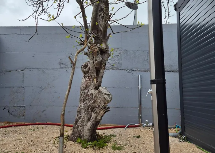 Mobile Mariola Campingplatz